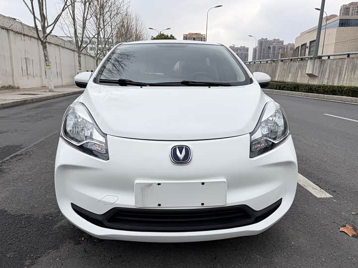 Фото 2 - Changan BenBen E-Star