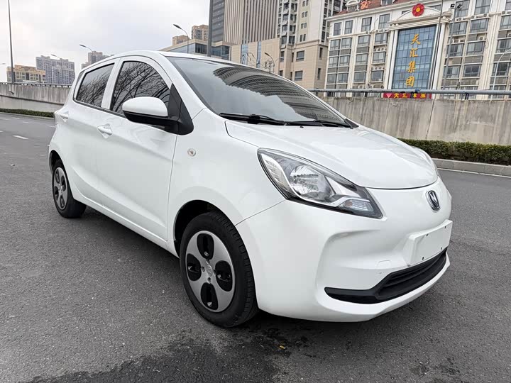 Фото 3 - Changan BenBen E-Star