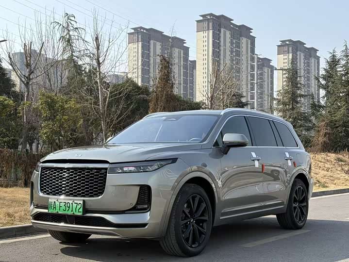 Фото 1 - LiXiang One