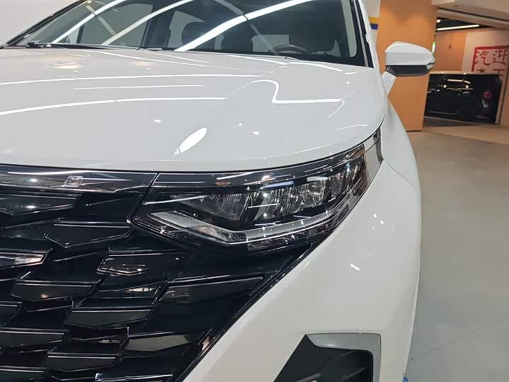 Фото 5 - Hyundai Custo