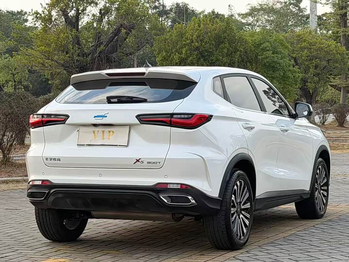 Фото 5 - Changan Oshan X5