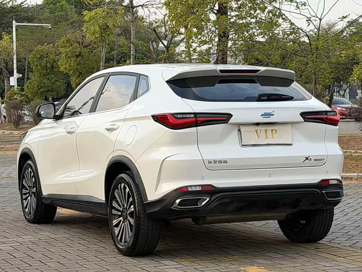 Фото 7 - Changan Oshan X5