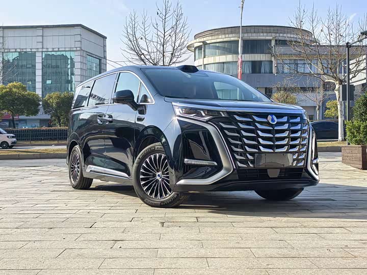 Фото 3 - Denza D9