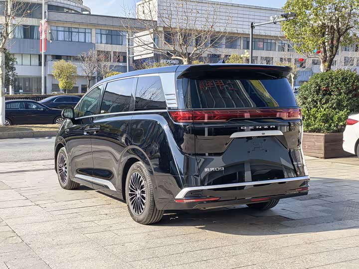 Фото 6 - Denza D9