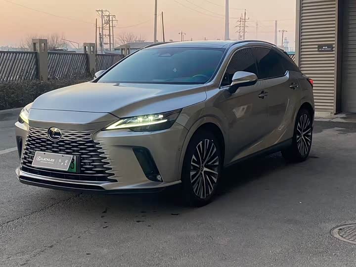 Фото 1 - Lexus RX Hybrid