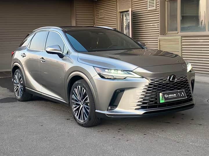 Фото 3 - Lexus RX Hybrid