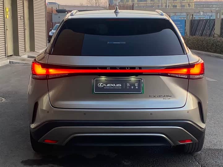 Фото 8 - Lexus RX Hybrid