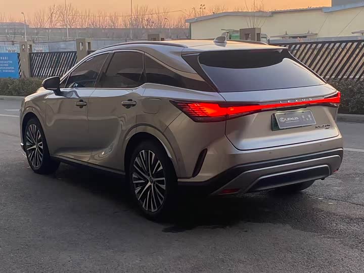 Фото 9 - Lexus RX Hybrid