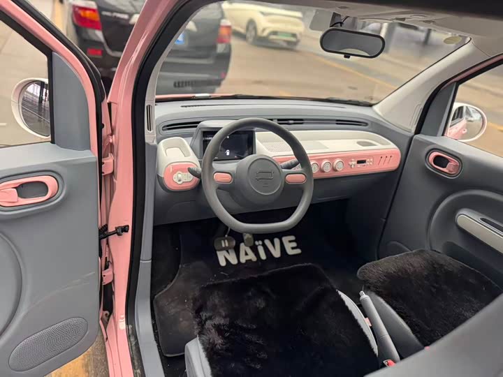 Фото 4 - Bestune Pony