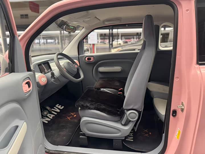 Фото 5 - Bestune Pony