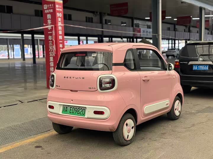 Фото 7 - Bestune Pony