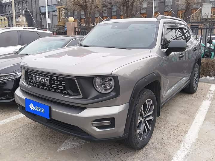 Фото 1 - Haval H-Dog