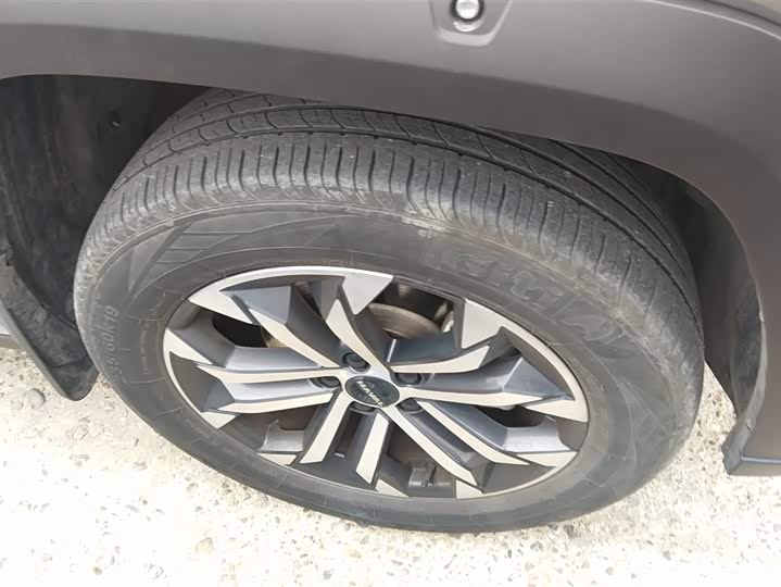 Фото 6 - Haval H-Dog