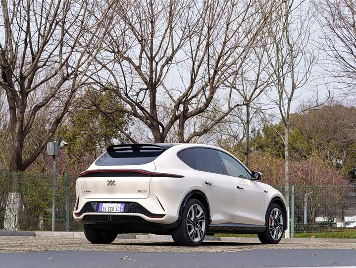 Фото 4 - IM motors LS7