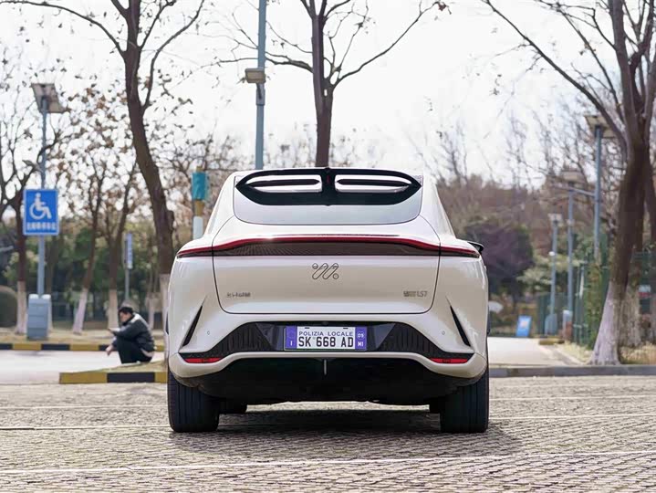 Фото 5 - IM motors LS7