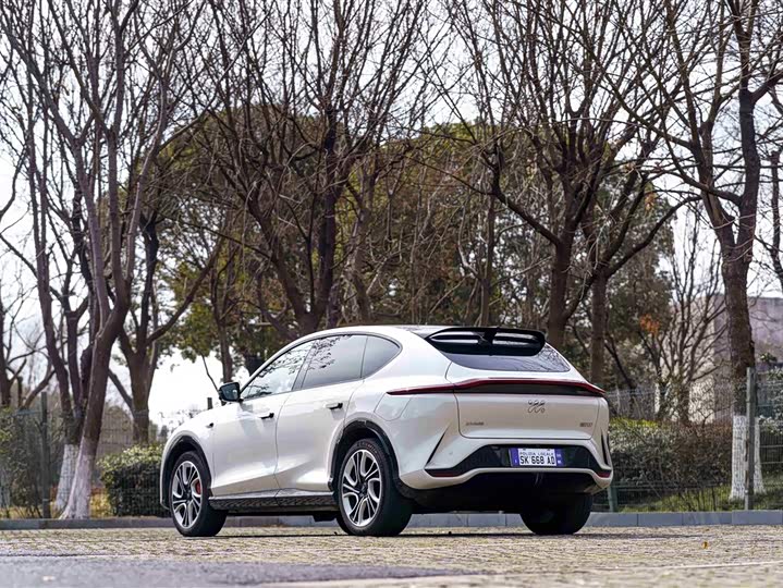 Фото 6 - IM motors LS7