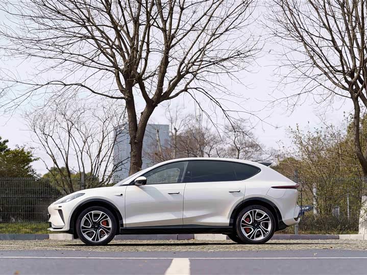 Фото 7 - IM motors LS7