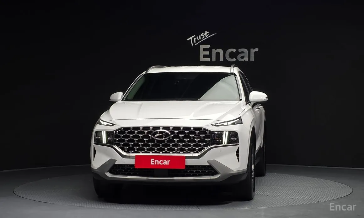 Zdjęcie 3 - Hyundai Santa Fe