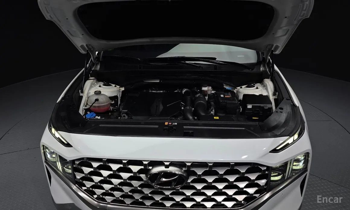 Zdjęcie 6 - Hyundai Santa Fe