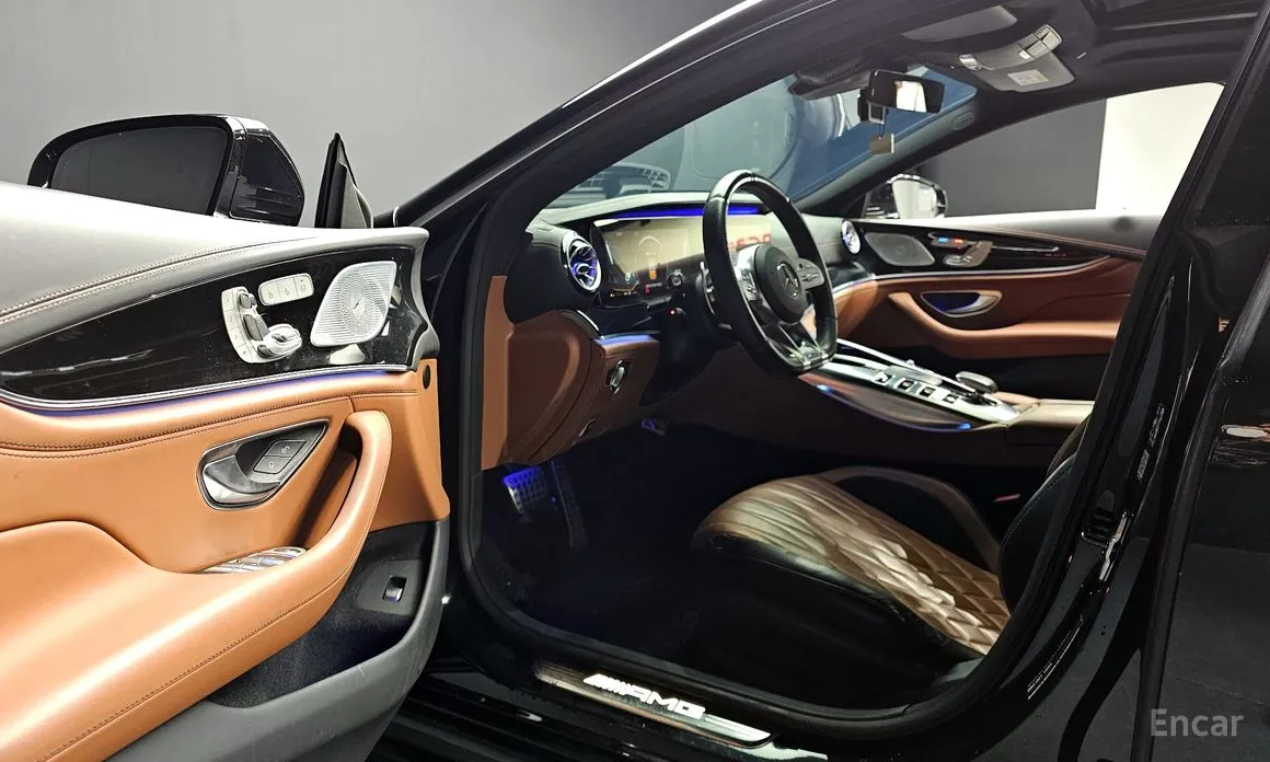 Фото 12 - Mercedes-Benz AMG GT