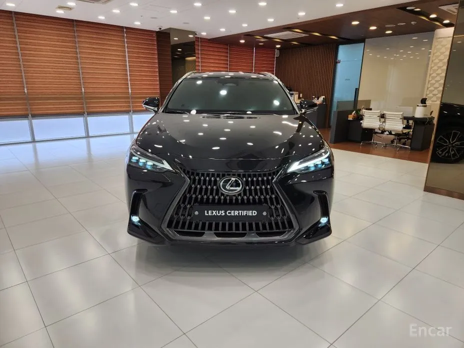 Фото 3 - Lexus NX