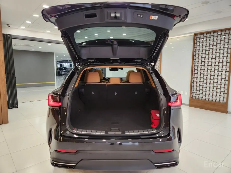 Фото 7 - Lexus NX