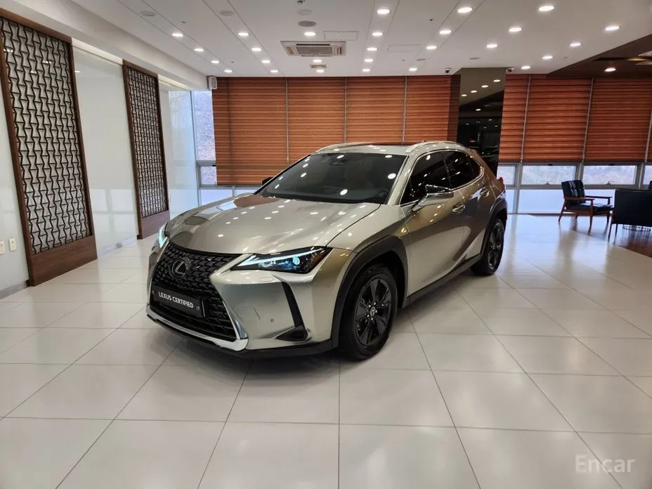 Фото 1 - Lexus UX