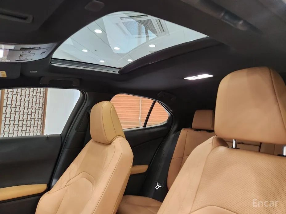 Фото 8 - Lexus UX