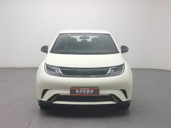 Фото 3 - BYD Dolphin