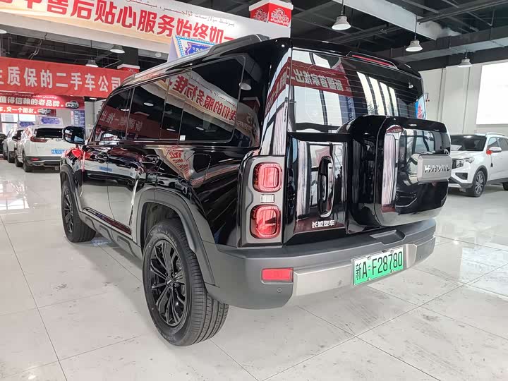 Фото 7 - Haval Raptor Hybrid