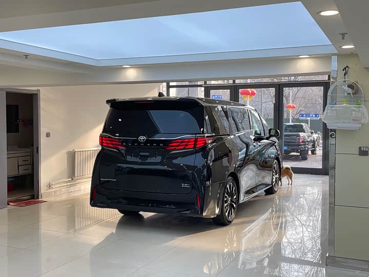 Фото 6 - Toyota Alphard