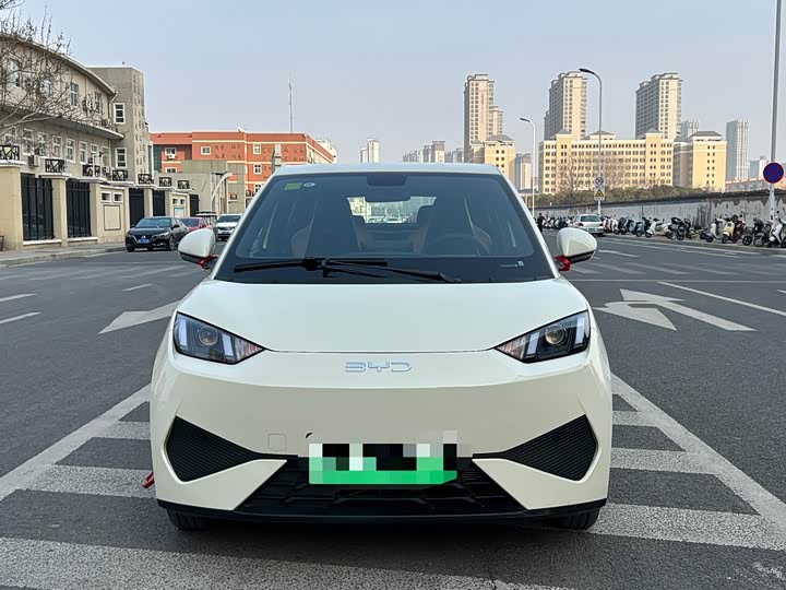 Фото 2 - BYD Seagull