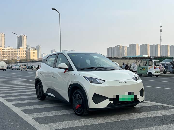 Фото 3 - BYD Seagull