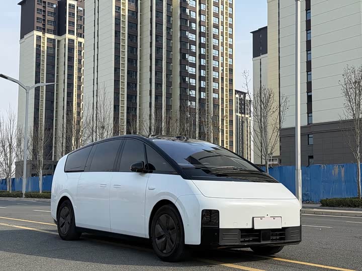 Фото 3 - LiXiang Mega