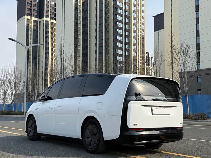 Фото 4 - LiXiang Mega