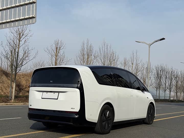 Фото 6 - LiXiang Mega