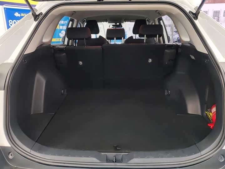 Фото 4 - Toyota Wildlander