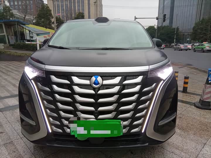 Фото 2 - Denza D9