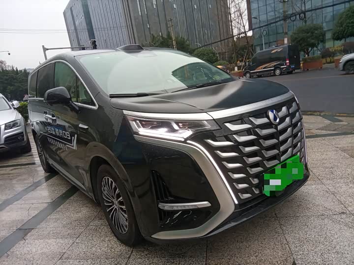 Фото 3 - Denza D9