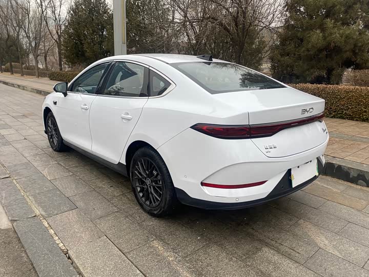 Фото 3 - BYD Qin Plus