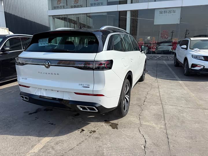 Фото 3 - Volkswagen Tavendor