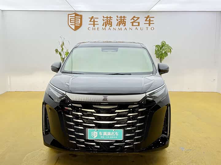 Фото 2 - BYD Xia