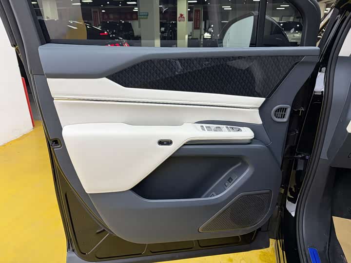 Фото 3 - BYD Xia