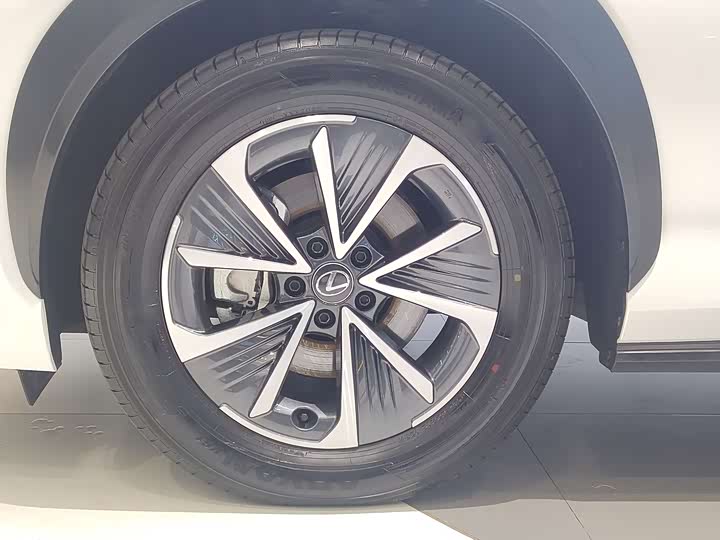 Фото 9 - Lexus RZ