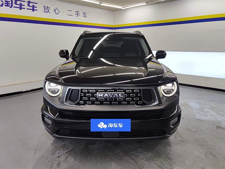 Фото 2 - Haval H-Dog