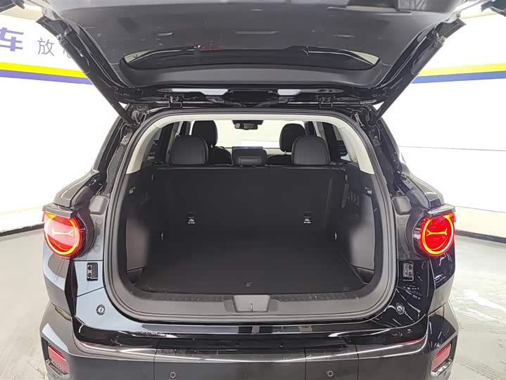 Фото 4 - Haval H-Dog