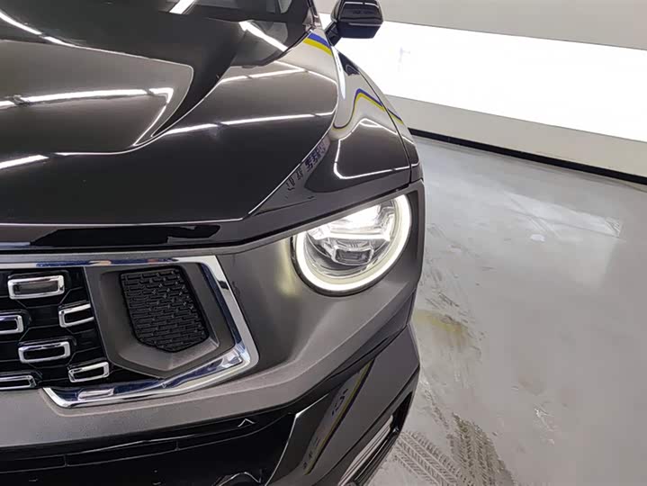 Фото 5 - Haval H-Dog