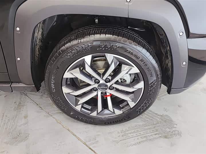 Фото 6 - Haval H-Dog