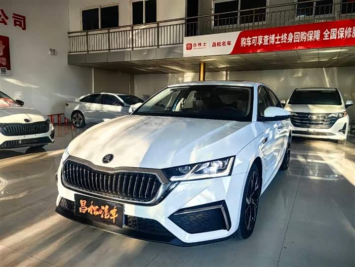 Фото 1 - Skoda Octavia Pro