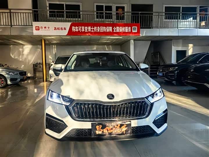 Фото 2 - Skoda Octavia Pro